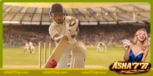 Free Cricket Betting Tips - The Ultimate Guide for Winning