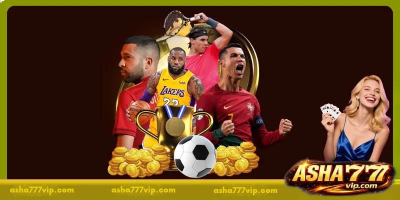 Introduction to ASHA777 Sports