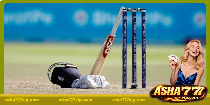 Key Aspects to Check Before Interpreting Cricket Odds